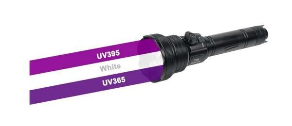 Brinyte T28 UV mit 365nm und 395nm